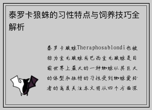 泰罗卡狼蛛的习性特点与饲养技巧全解析