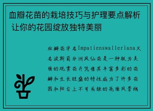血瓣花苗的栽培技巧与护理要点解析 让你的花园绽放独特美丽